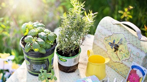 Los mejores accesorios para jardinería baratos