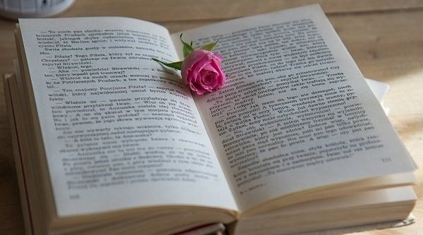 Las mejores novelas románticas del momento