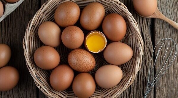 Los mejores hervidores para huevos del mercado
