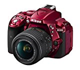 Nikon D5300 - Cámara réflex Digital (24.1 megapíxeles, NFC, SD 8 GB, 200x Lexar Premium)