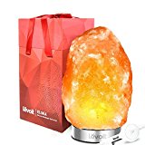 Levoit Elora Lámpara de Sal Natural del Himalaya Tallado a Mano de Brillo Natural de Color Naranja (3~5 kg): 18/8 Base de Acero Inoxidable, Control Táctil de Brillo, 2 x Bombilla 15W, Cable Certificado por la EMC y LVD y Caja de Regalo (Naranja)