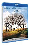 Big Fish [Francia] [Blu-ray]