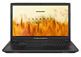 ASUS GL753VD-GC009 - Ordenador Portátil de 17.3