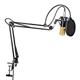 Neewer NW-800 Micrófono Condensador Profesional Estudio y NW-35 Micrófono Grabación Ajustable Suspensión Brazo de Tijera Soporte con Montaje Anti-choque y Kit Abrazadera de Montaje