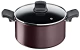 Tefal Character C6874602 Cacerola 24 cm Antiadherente Apta para Todo Tipo de cocinas e inducción, Titanio Extra Duradero